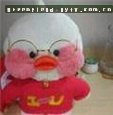 王磊