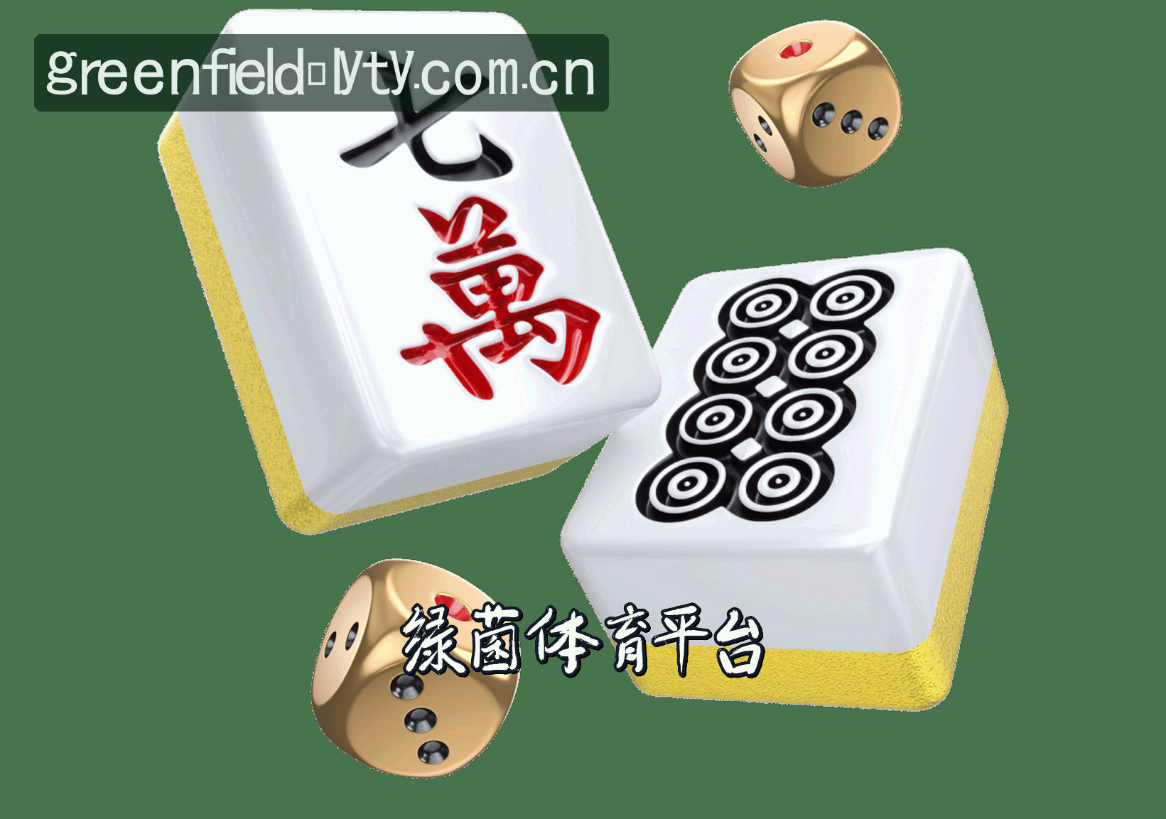 关于我们介绍